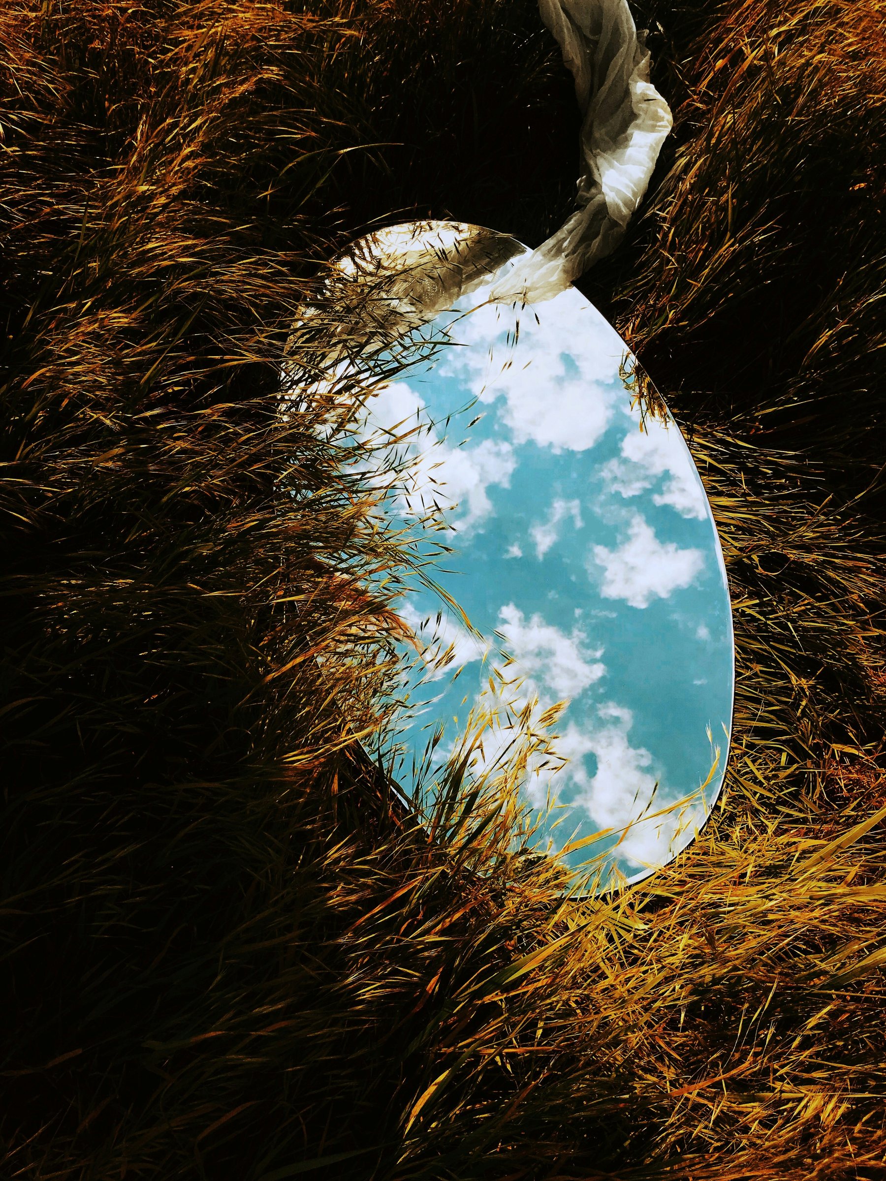 An oval mirror lying in dark grass, holding a reflection of blue sky